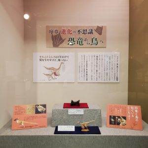序章 進化の不思議 恐竜から鳥への画像