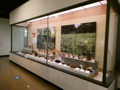 展示風景の画像1