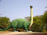 ディプロドクスの画像