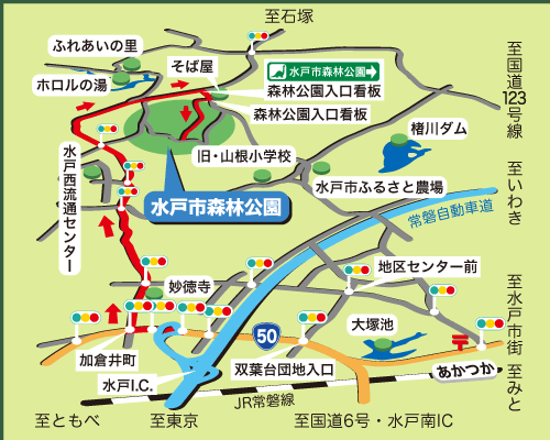 水戸市森林公園の画像