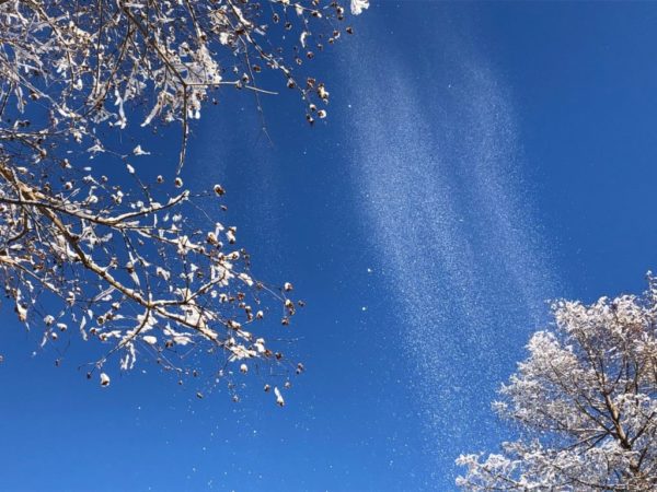 大雪の朝の画像3