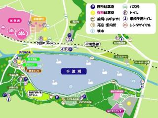 画像の左、湖畔の茶色の所が集合場所です