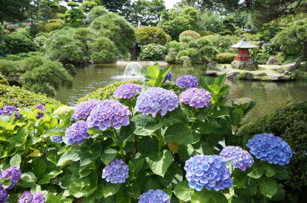 保和苑の画像