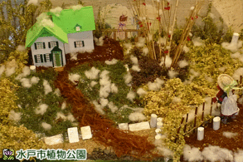 ハーブ友の会作品展~ハーブとアロマテラピーで楽しむクリスマスシーズン~の画像
