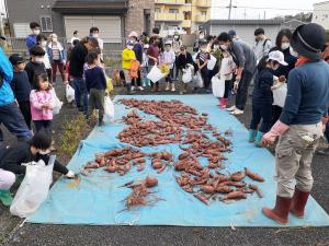 10月16日 芋掘り1