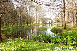 ひょうたん池(奥の建物が植物館)の画像