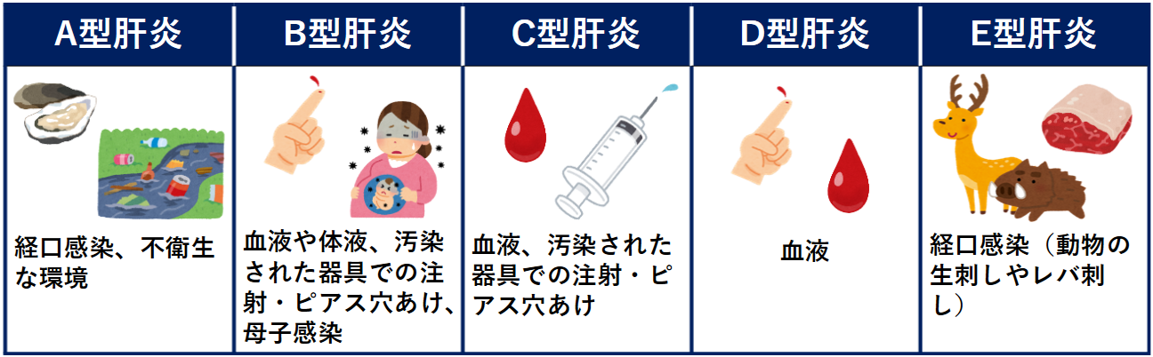 肝炎感染経路の画像