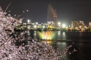 千波湖の噴水がライトアップされているようす