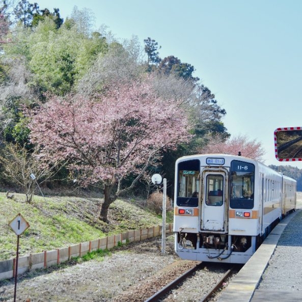 海浜鉄道