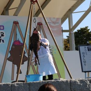 大洗あんこうまつり