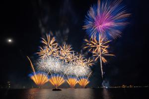 水戸偕楽園花火大会の様子