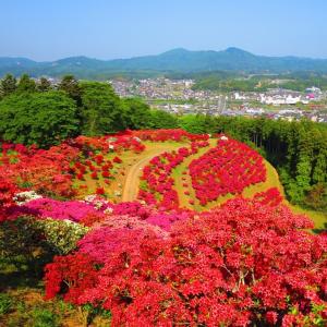 笠間市_笠間つつじまつり
