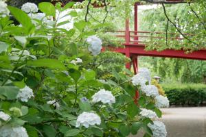 桂岸寺②