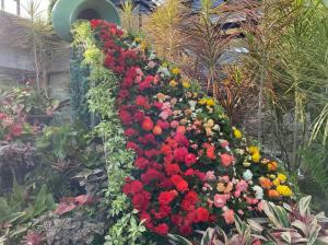 花の滝