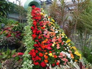 花の滝