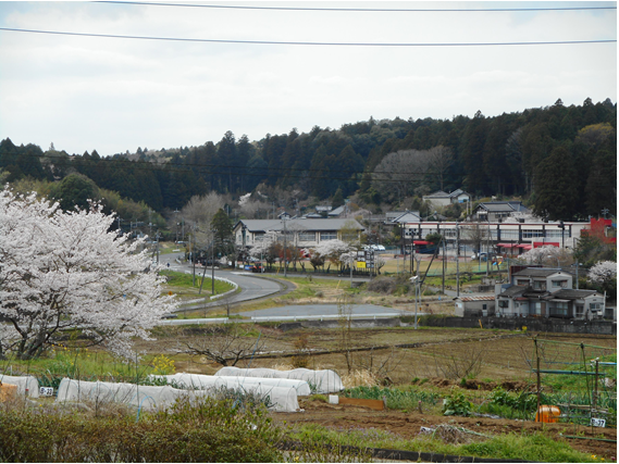 山根自治連合会の写真です