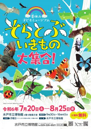 そらとぶいきものチラシ