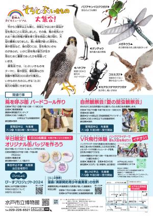 そらとぶいきものチラシ　ウラ
