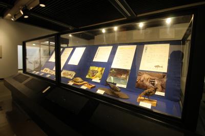 R6常設展風景4
