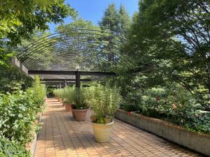 水戸市植物公園　園内の様子