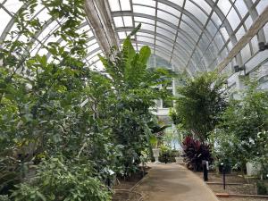 水戸市植物公園　観賞大温室の内観