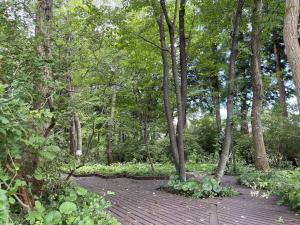 水戸市植物公園　園内の様子
