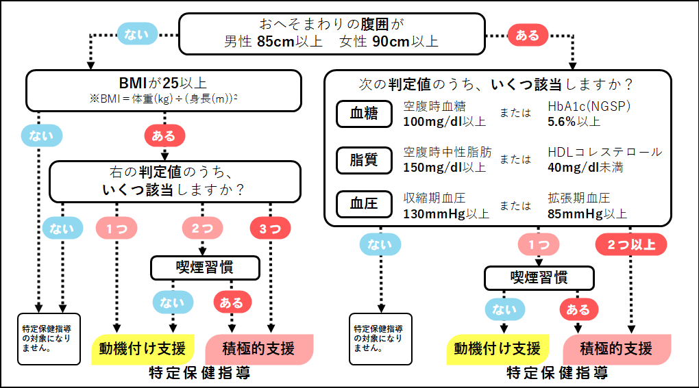 特定保健指導基準画像