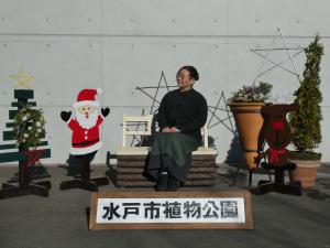 クリスマス装飾