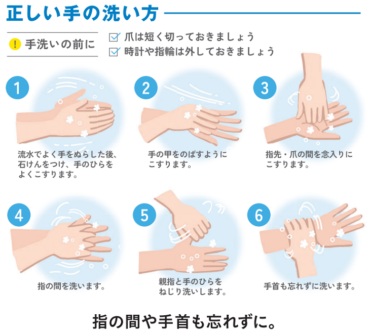 正しい手の洗い方
