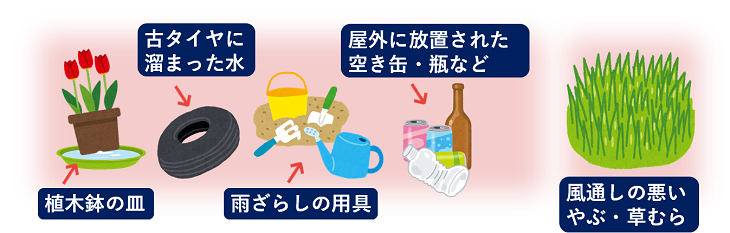 蚊の潜む場所をなくしましょう