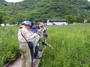 自然観察会の様子