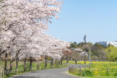 偕楽園四季の原