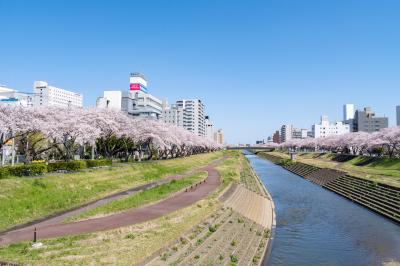 桜川