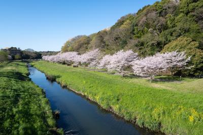 逆川緑地