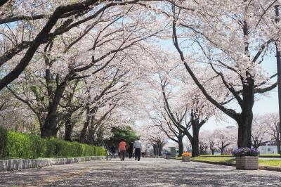 茨城県庁