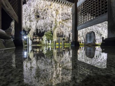 安国寺
