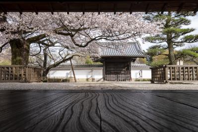 弘道館