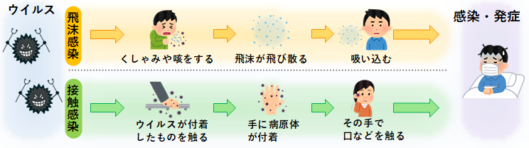 感染経路の画像