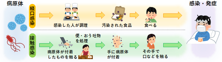 感染経路の画像