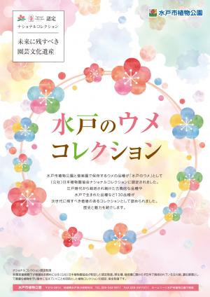 水戸のウメコレクション
