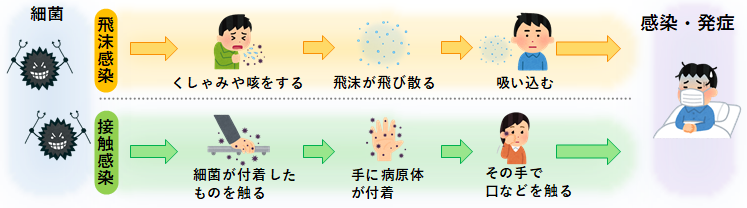 感染経路の画像