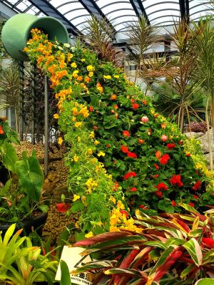 花の滝