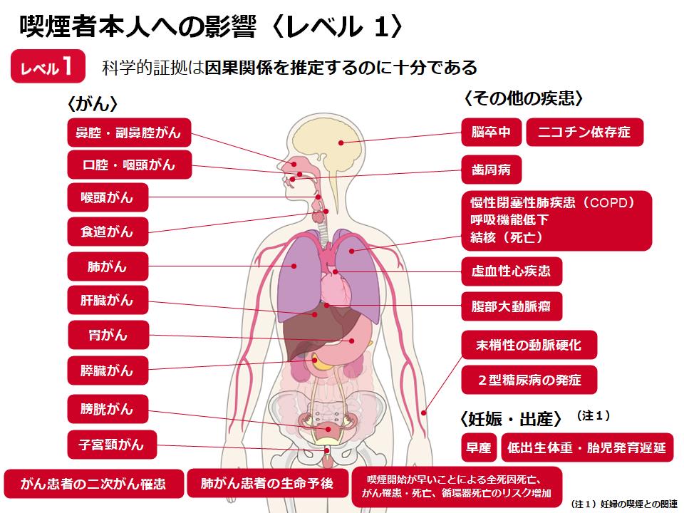 因果関係を推定する証拠が十分（確実）：レベル1