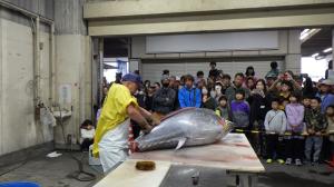 マグロ解体ショーの様子２