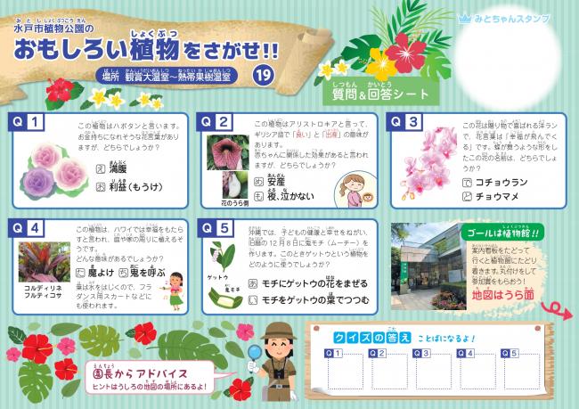 クイズシート19おもて
