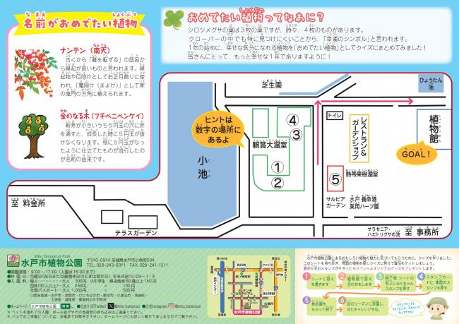 クイズシート19うら