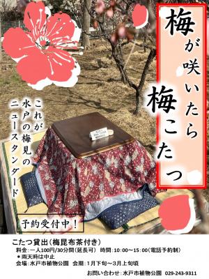 梅こたつ