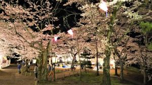 桜山（夜）
