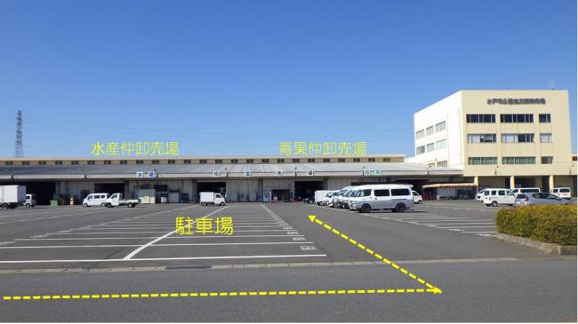 仲卸売場
