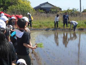 田植えのやり方を学ぶ子どもたち